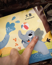 Load image into Gallery viewer, Interactive Audio Sensory Chinese Readers
