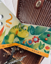Load image into Gallery viewer, Interactive Counting Storybooks 绘本触摸书:和我一起数星星 ⭐️ / 瓢虫🐞
