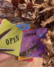 Load image into Gallery viewer, Roald Dahl Little Library