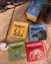 Load image into Gallery viewer, Roald Dahl Little Library
