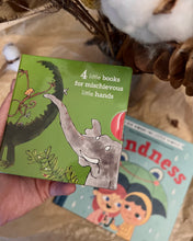 Load image into Gallery viewer, Roald Dahl Little Library