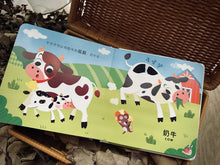 Load image into Gallery viewer, Interactive Audio Sensory Chinese Readers
