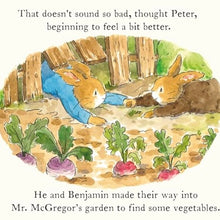 Load image into Gallery viewer, *New* Peter Rabbit Tales: The Tooth Fairy