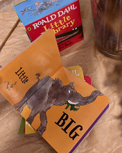 Load image into Gallery viewer, Roald Dahl Little Library