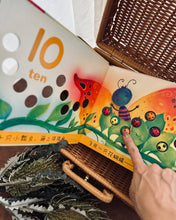 Load image into Gallery viewer, Interactive Counting Storybooks 绘本触摸书:和我一起数星星 ⭐️ / 瓢虫🐞