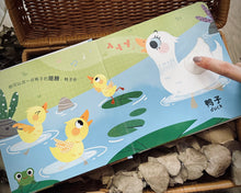 Load image into Gallery viewer, Interactive Audio Sensory Chinese Readers