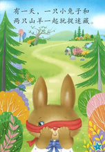 Load image into Gallery viewer, *New* LCWF Fun With Maths (Aged 4-6 Years Old) 乐中学《数学好好玩》4-6 岁小图书系列