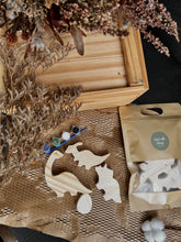 Load image into Gallery viewer, DIY Paint Set ~ Dinosaurs Set