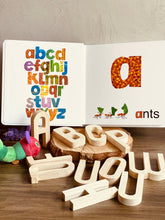 Load image into Gallery viewer, ABC Building Blocks (Option to add ABC/123 Book)