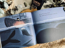 Load image into Gallery viewer, The Storm Whale and Storm Whale in Winter by Benji Davies (2 Titles)
