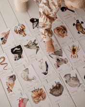 Load image into Gallery viewer, Modern Monty Animal Alphabet Flash Cards (2 Types)