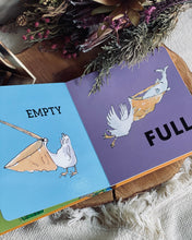 Load image into Gallery viewer, Roald Dahl Early Learner Series (ABC / 123 / Colours / Shapes/ Opposites)