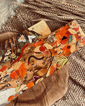 Load image into Gallery viewer, First Explorers Series (6 Titles)