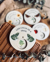 Load image into Gallery viewer, Wooden Lifecycle Discs (set of 4)