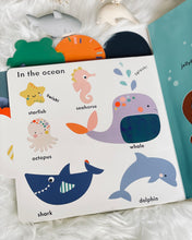 Load image into Gallery viewer, Baby Touch Series Large