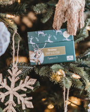 Load image into Gallery viewer, Modern Monty Christmas Snap & Go Fish (2 card games in 1)