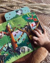 Load image into Gallery viewer, First Explorers Series (6 Titles)