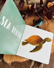 Load image into Gallery viewer, My First Books of Animals (5 Titles)