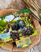 Load image into Gallery viewer, First Explorers Series (6 Titles)