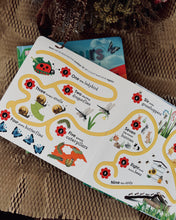 Load image into Gallery viewer, Counting/ Colors with Ladybird (Board book)