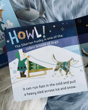 Load image into Gallery viewer, Hello, World! Series by Jill McDonald (8 Titles)