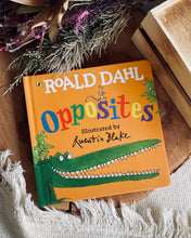 Load image into Gallery viewer, Roald Dahl Early Learner Series (ABC / 123 / Colours / Shapes/ Opposites)