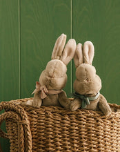 Load image into Gallery viewer, My Little Bunny Soft Toy