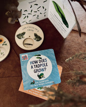 Load image into Gallery viewer, Life Cycles with The Very Hungry Caterpillar~The World of Eric Carle (2 Titles)