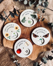Load image into Gallery viewer, Wooden Lifecycle Discs (set of 4)