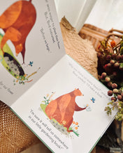 Load image into Gallery viewer, Johnny Lambert's Bear and Bird Series (4 Titles)