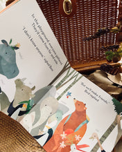 Load image into Gallery viewer, Johnny Lambert's Bear and Bird Series (4 Titles)