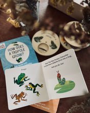 Load image into Gallery viewer, Life Cycles with The Very Hungry Caterpillar~The World of Eric Carle (2 Titles)