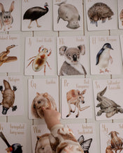 Load image into Gallery viewer, Modern Monty Animal Alphabet Flash Cards (2 Types)