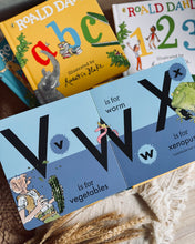 Load image into Gallery viewer, Roald Dahl Early Learner Series (ABC / 123 / Colours / Shapes/ Opposites)