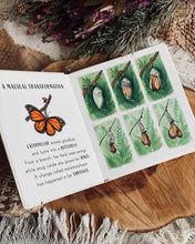 Load image into Gallery viewer, Wooden Lifecycle Discs (set of 4)