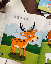 Load image into Gallery viewer, *Restock* Beany Picture Book Series 小豆豆图画书系列 ~ 10 Titles