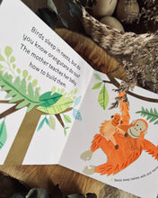 Load image into Gallery viewer, Hello, World! Series by Jill McDonald (8 Titles)