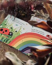 Load image into Gallery viewer, Counting/ Colors with Ladybird (Board book)