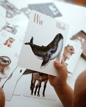 Load image into Gallery viewer, Modern Monty Animal Alphabet Flash Cards (2 Types)