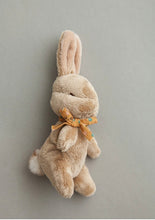 Load image into Gallery viewer, My Little Bunny Soft Toy