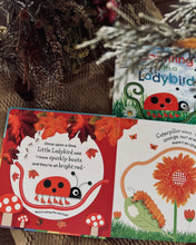 Load image into Gallery viewer, Counting/ Colors with Ladybird (Board book)