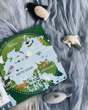 Load image into Gallery viewer, Hello, World! Series by Jill McDonald (8 Titles)