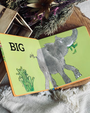 Load image into Gallery viewer, Roald Dahl Early Learner Series (ABC / 123 / Colours / Shapes/ Opposites)