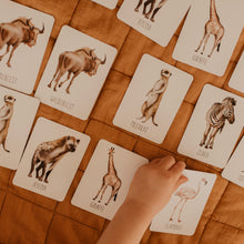 Load image into Gallery viewer, Modern Monty Snap & Go Fish (2 card games in 1)