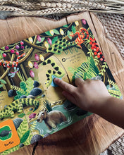 Load image into Gallery viewer, First Explorers Series (6 Titles)