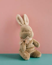 Load image into Gallery viewer, My Little Bunny Soft Toy