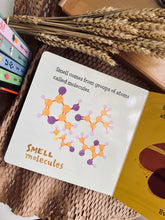 Load image into Gallery viewer, Baby Loves Science ~ The Five Senses: Sight, Smell, Taste, Touch and Hearing (Box Set / Individual Titles)