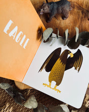 Load image into Gallery viewer, My First Books of Animals (5 Titles)