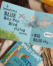 Load image into Gallery viewer, Roald Dahl Early Learner Series (ABC / 123 / Colours / Shapes/ Opposites)