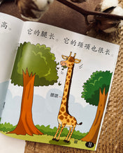 Load image into Gallery viewer, *Restock* Beany Picture Book Series 小豆豆图画书系列 ~ 10 Titles